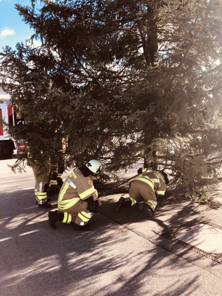 THL Unwetter Ast droht zu fallen 08.12.2018